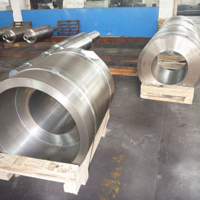 Anulos ementitus Steel