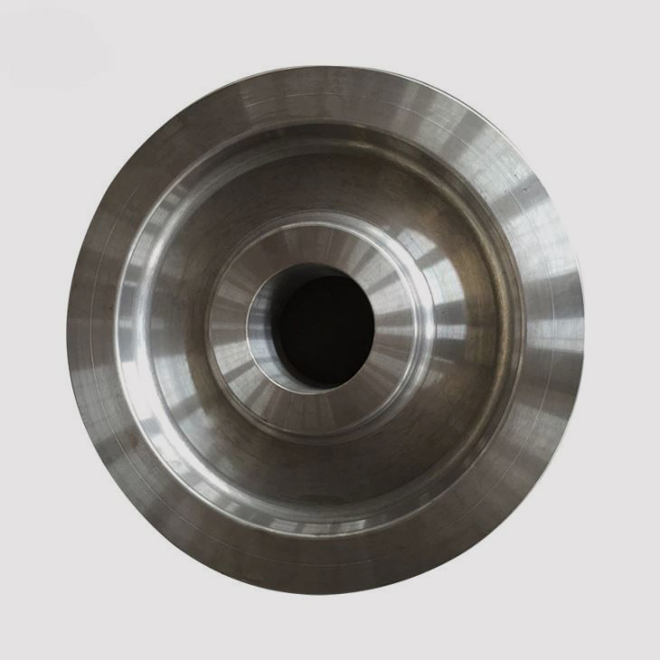 Anulos ementitus Steel